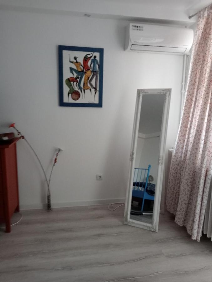 Skyline Central Apartment Timişoara Eksteriør bilde