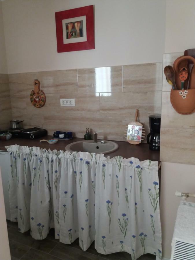 Skyline Central Apartment Timişoara Eksteriør bilde