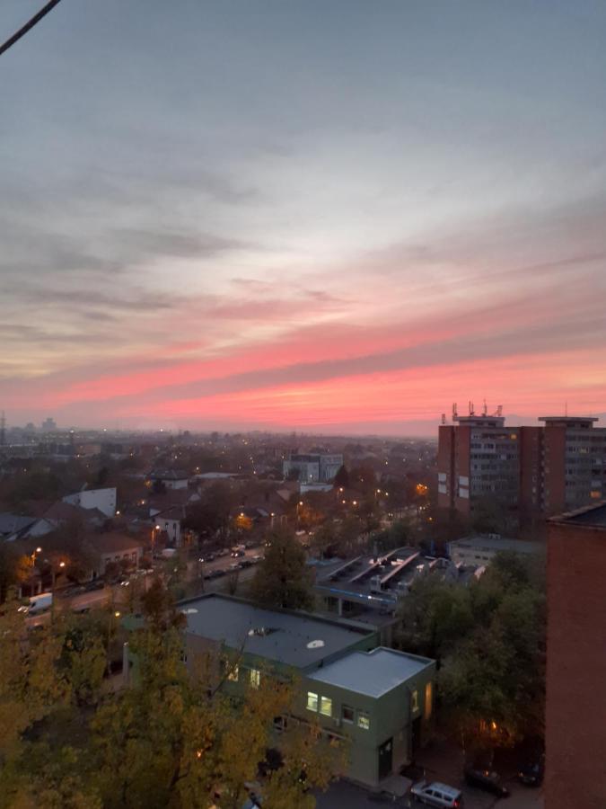 Skyline Central Apartment Timişoara Eksteriør bilde