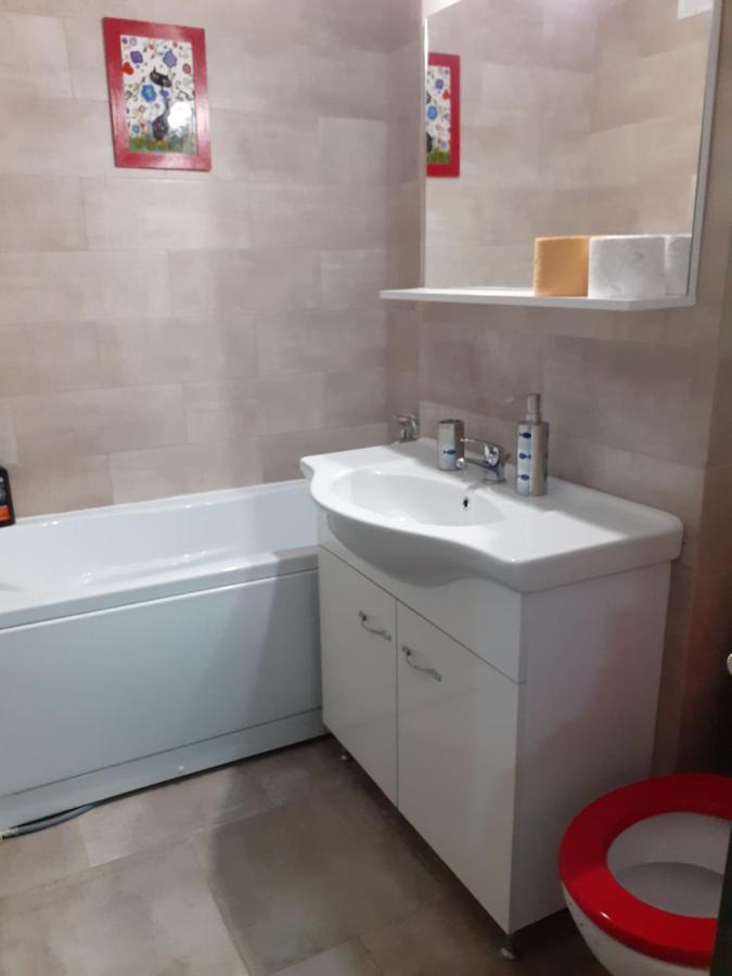 Skyline Central Apartment Timişoara Eksteriør bilde
